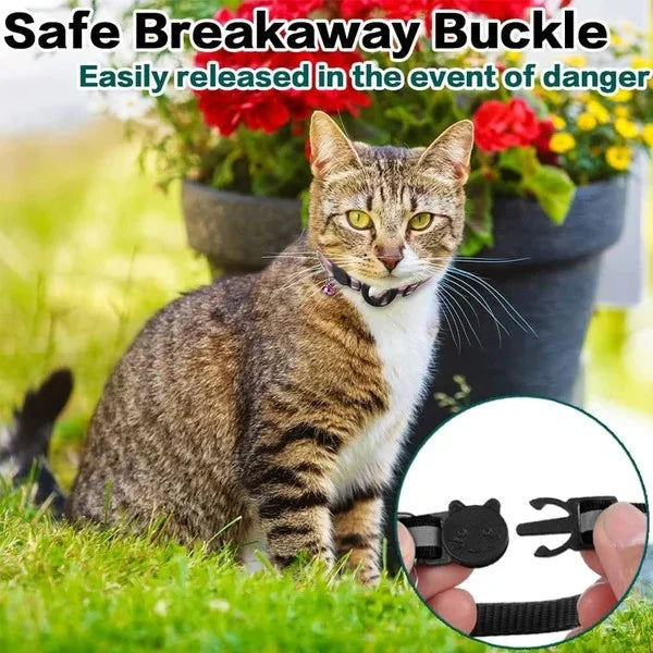 Collar For Cat