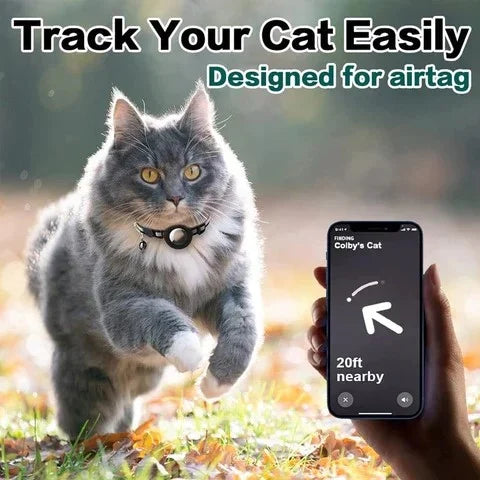 Collar For Cat