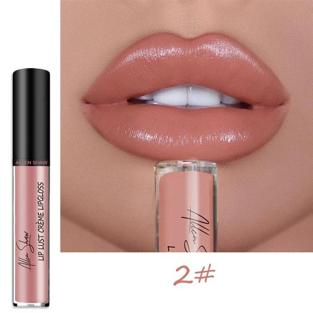 2023 NEW 12 Color Waterproof Long Lasting Moist Lip Gloss Plumper Liquid Lipstick