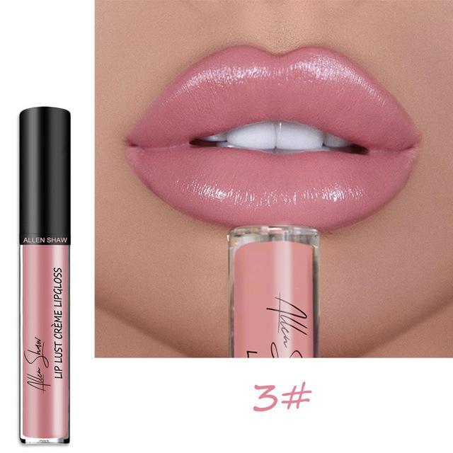 2023 NEW 12 Color Waterproof Long Lasting Moist Lip Gloss Plumper Liquid Lipstick