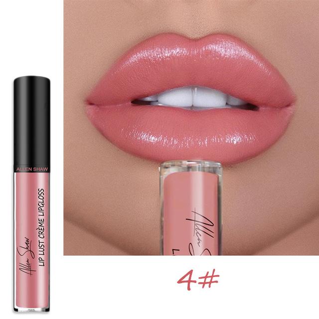 2023 NEW 12 Color Waterproof Long Lasting Moist Lip Gloss Plumper Liquid Lipstick
