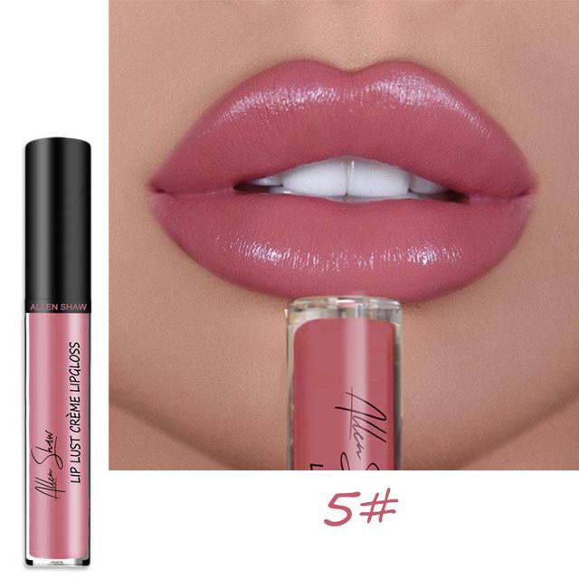2023 NEW 12 Color Waterproof Long Lasting Moist Lip Gloss Plumper Liquid Lipstick