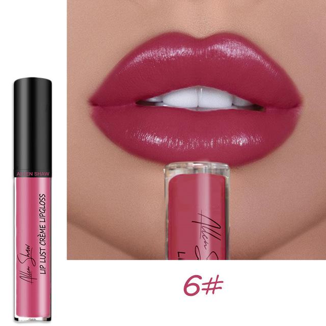 2023 NEW 12 Color Waterproof Long Lasting Moist Lip Gloss Plumper Liquid Lipstick