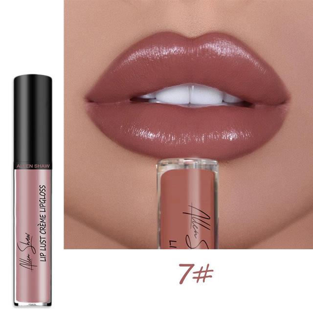 2023 NEW 12 Color Waterproof Long Lasting Moist Lip Gloss Plumper Liquid Lipstick