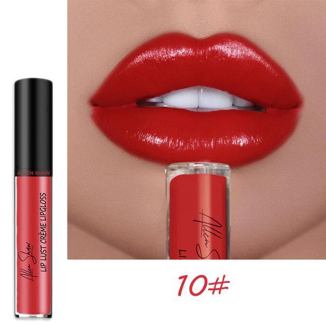 2023 NEW 12 Color Waterproof Long Lasting Moist Lip Gloss Plumper Liquid Lipstick
