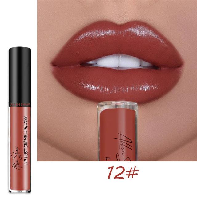 2023 NEW 12 Color Waterproof Long Lasting Moist Lip Gloss Plumper Liquid Lipstick