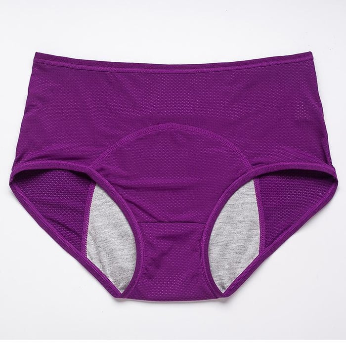 💥2025 New Upgrade Leak Proof Panties