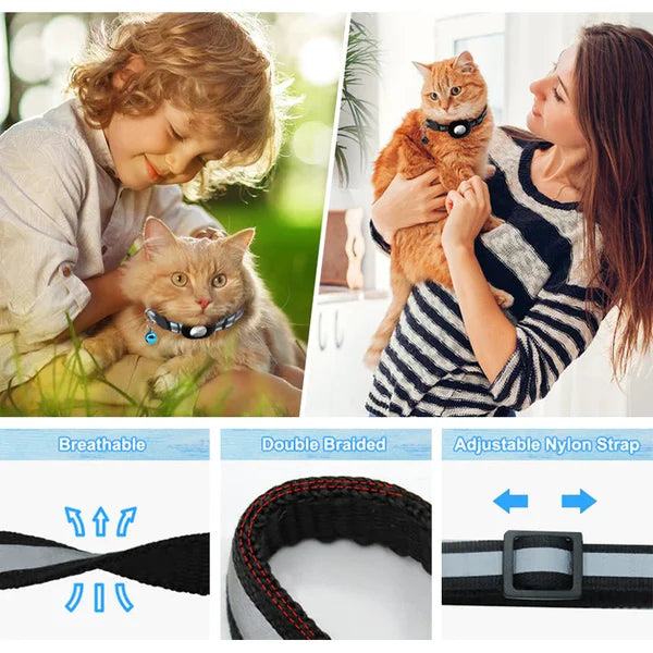 Collar For Cat