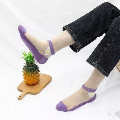 Translucent Daisy Socks(5Pairs/Pack)