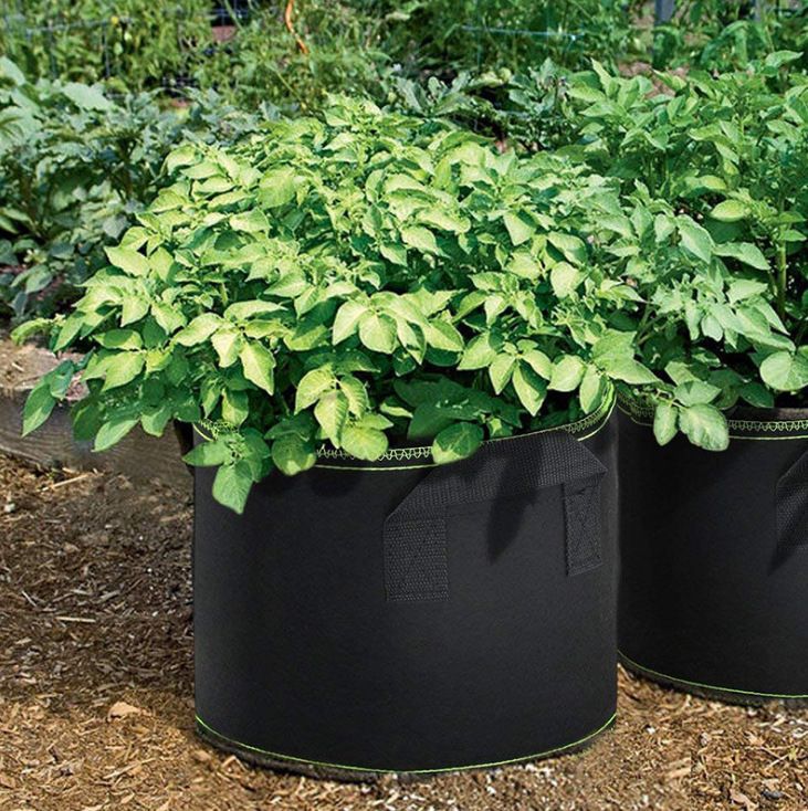 🌱5 Gallon Grow Bags – Heavy Duty Aeration Fabric Pots with Handles for Vegetables, Flowers & Fruits
