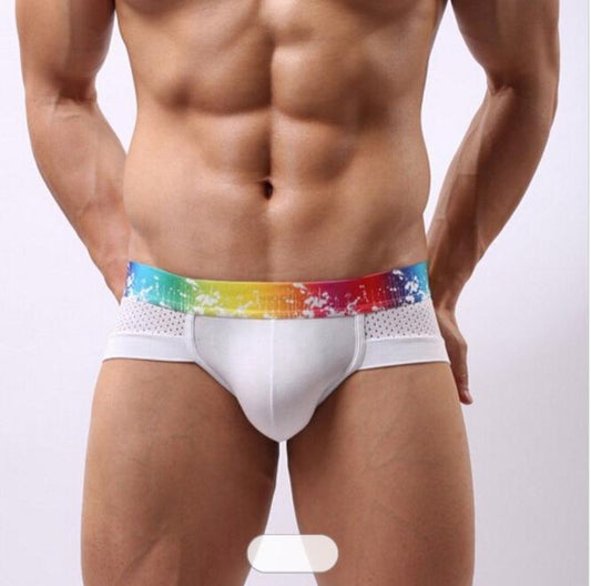 Panteasy's Sexy Colorful Rainbow Waistband Men's Underwear Boxer